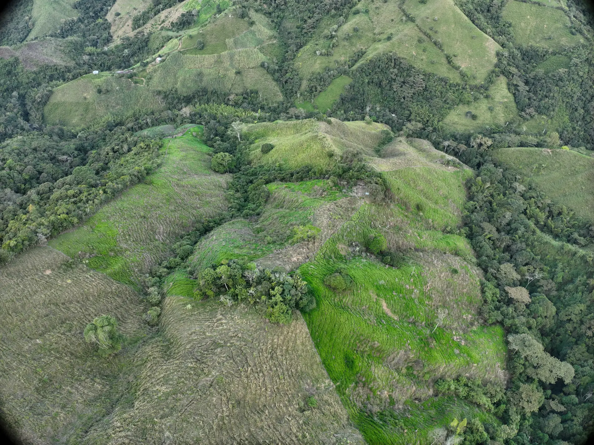 Fotografía aérea propia de finca ganadera en zona montañosa colombiana